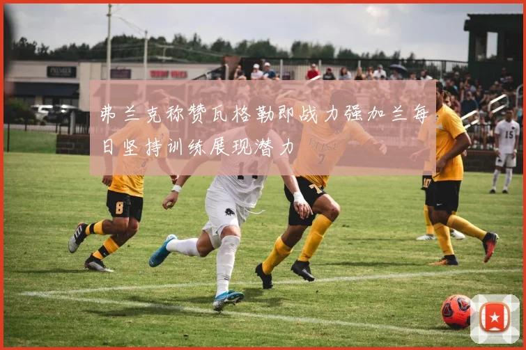 弗兰克称赞瓦格勒即战力强加兰每日坚持训练展现潜力