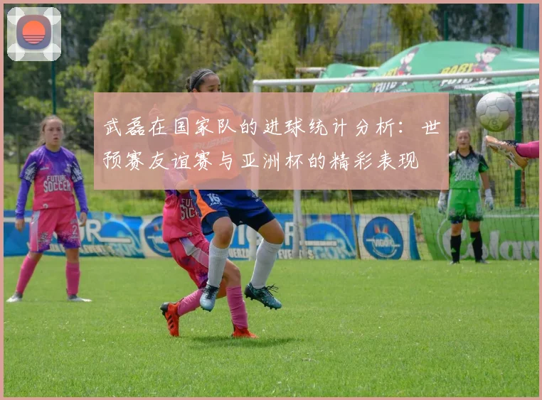 武磊在国家队的进球统计分析：世预赛友谊赛与亚洲杯的精彩表现