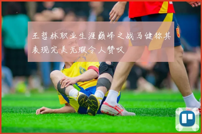 王哲林职业生涯巅峰之战马健称其表现完美无瑕令人赞叹