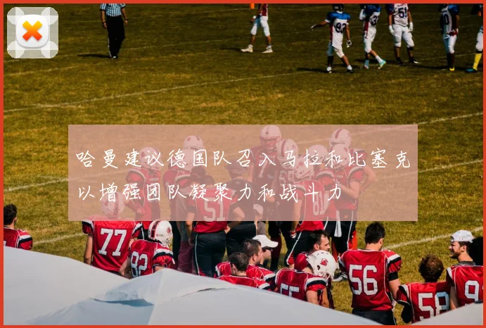 哈曼建议德国队召入马拉和比塞克以增强团队凝聚力和战斗力
